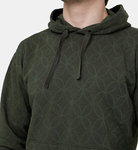 هودي جاكار تيري