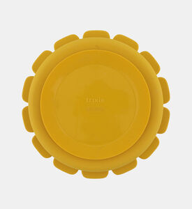 طبق مستر ليون سيليكون مقسم - 22 × 22 × 3.5 سم