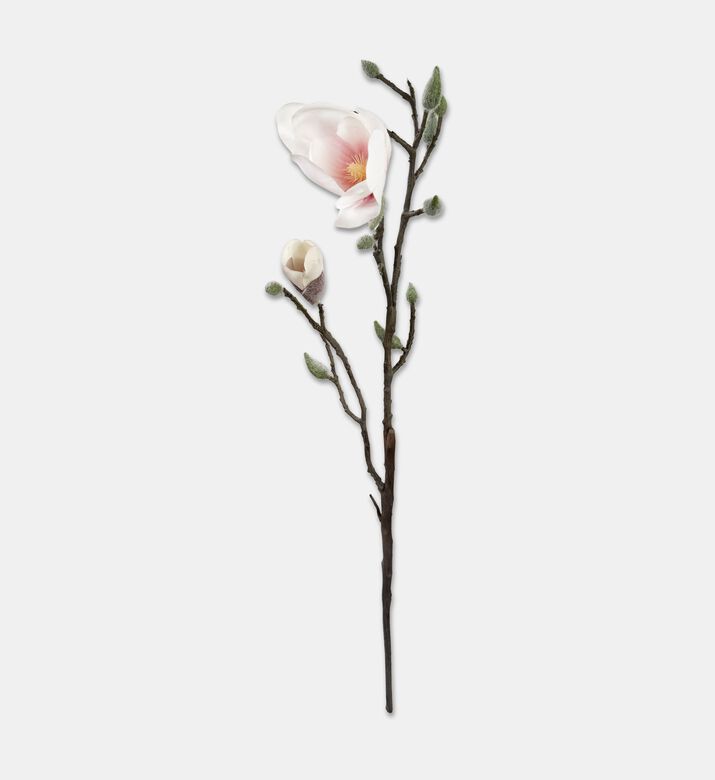Shishi Branch With Buds Magnolia, Packshot View