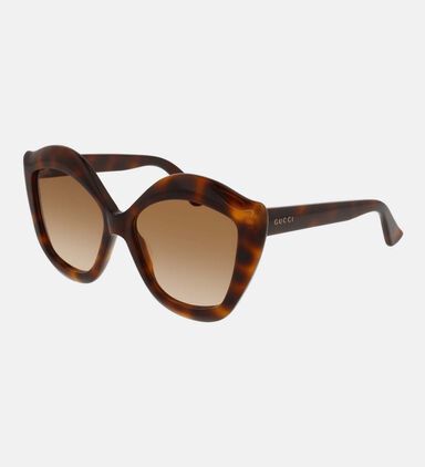 Oversized Rounded Cat-eye Sunglasses 53