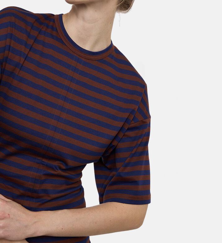 Plan C Stripe-print Short-sleeve T-shirt, Model View