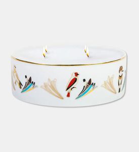 Silsal Sarb Naseem Candle - 1000g, Packshot View