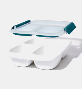 حاوية بلاستيكية مقسمة