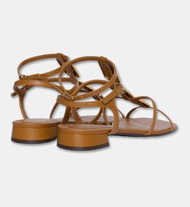 Arezzo Shoes Sandal Flat, Packshot View