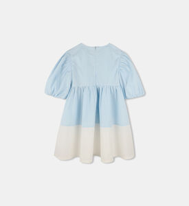 Two-tone Puff Sleeve Dress