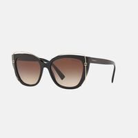 Acetate Cat-eye Shape Sunglasses 54