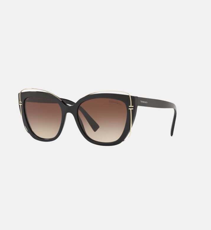 Acetate Cat-eye Shape Sunglasses 54