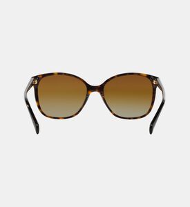 Acetate Square Shape Sunglasses 55