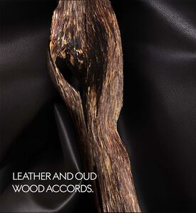 Gucci Beauty The Voice Of The Snake Eau De Parfum, Packshot View