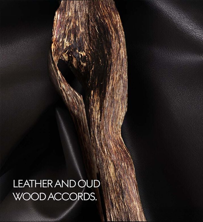 Gucci Beauty The Voice Of The Snake Eau De Parfum, Packshot View Gucci Beauty The Voice Of The Snake Eau De Parfum, Packshot View