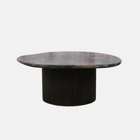 Gobi Norvigo Marble Coffee Table