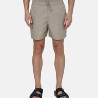 Drawstring Swim Shorts