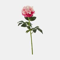 Real Peony Branch