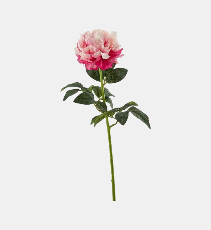 Real Peony Branch