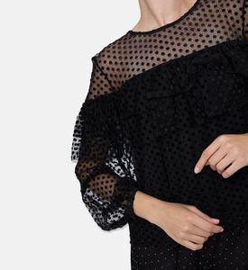 Ba and Sh Top Raff, Model View