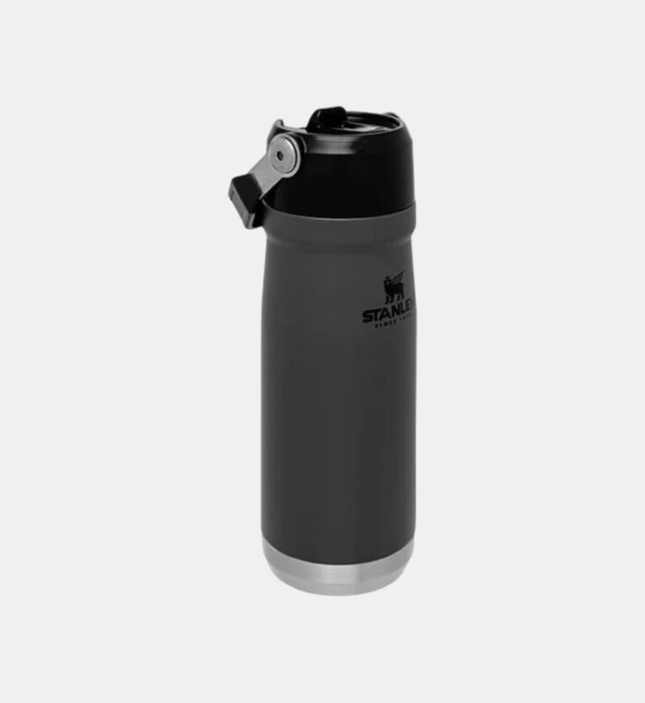 Stainless Steel Go Flip Straw Bottle
