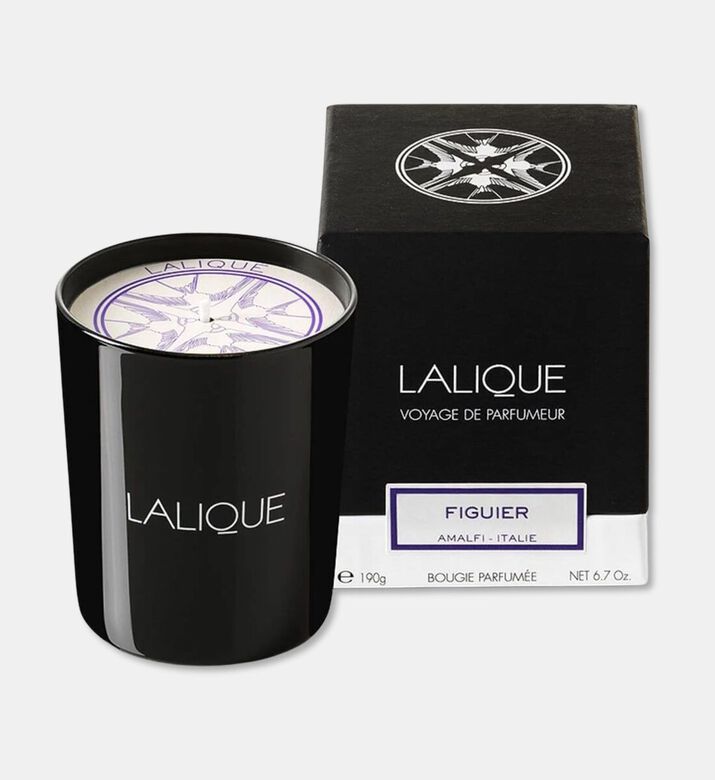 Lalique Amalfi Figuier Scented Candle, Packshot View