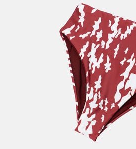 Palmacea Bottom Sua, Packshot View