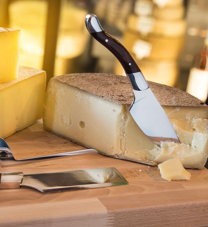 Fromager Steel Cheese Knife Set