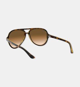 Rayban Sunglass, Packshot View