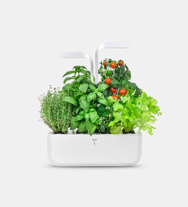 Botaneo Indoor Garden - 2 Lingots