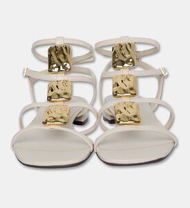 Arezzo Shoes Sandal Flat, Packshot View