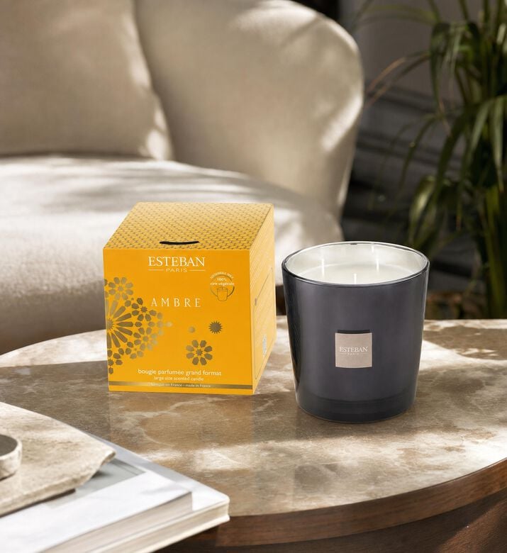 Esteban Paris Ambre Large Scented Candle, Model View