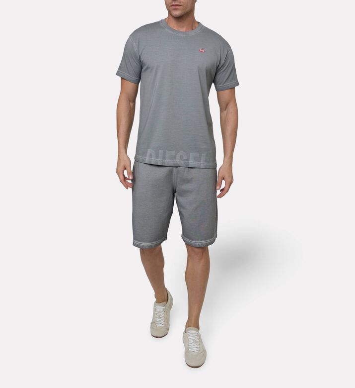 Diesel Ts, Model View