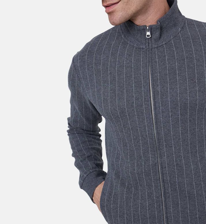 Stripe-print High-neck Jacket