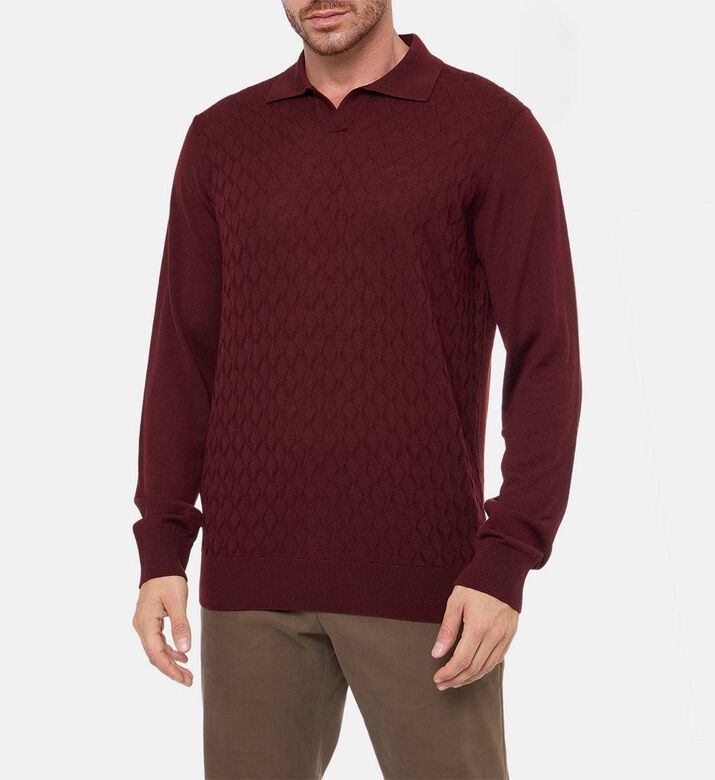 Corneliani Knit Long-sleeve Regular-fit Polo Shirt, Dark-red, 54, Model View