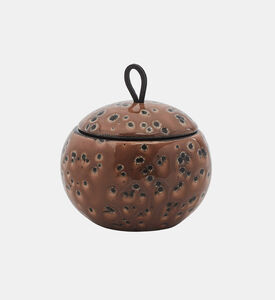 صندوق جمال أوغو كاميل