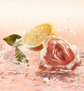 بخاخ ماء تواليت عطر إيدول