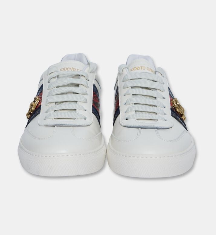 Roberto Cavalli Shoes Sport Calf Tresor Snk, Packshot View