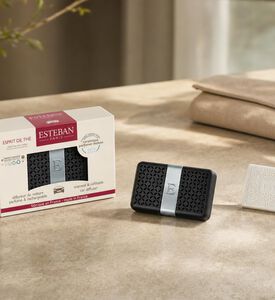 Esteban Paris Esprit De The Car Diffuser Refill, Model View