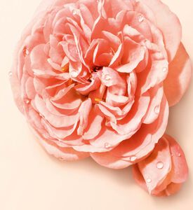 Armani Beauty Edp Si Nude Bloom, 100-ml, Packshot View