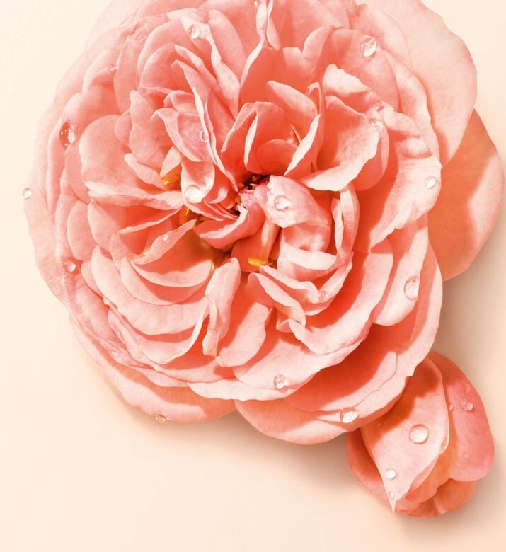 Armani Beauty Edp Si Nude Bloom, 100-ml, Packshot View