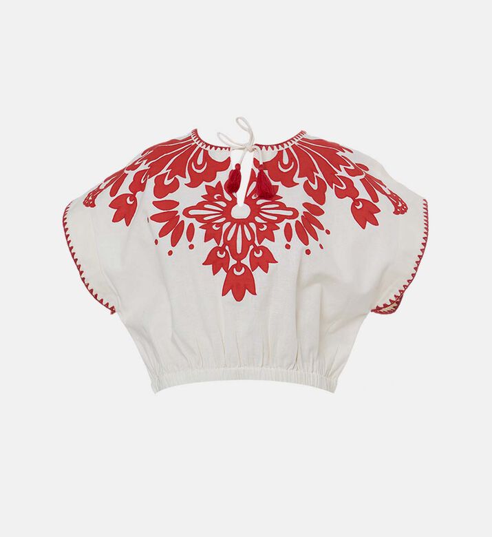 بلوزة قصيرة بأكمام قصيرة ومطرزة