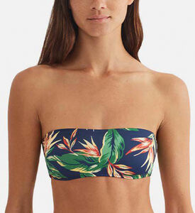 Polo Polo Bandeau Bikini Top, Model View