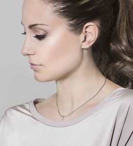 قلادة الحبل البحري