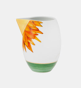 إبريق حليب أمازونيا