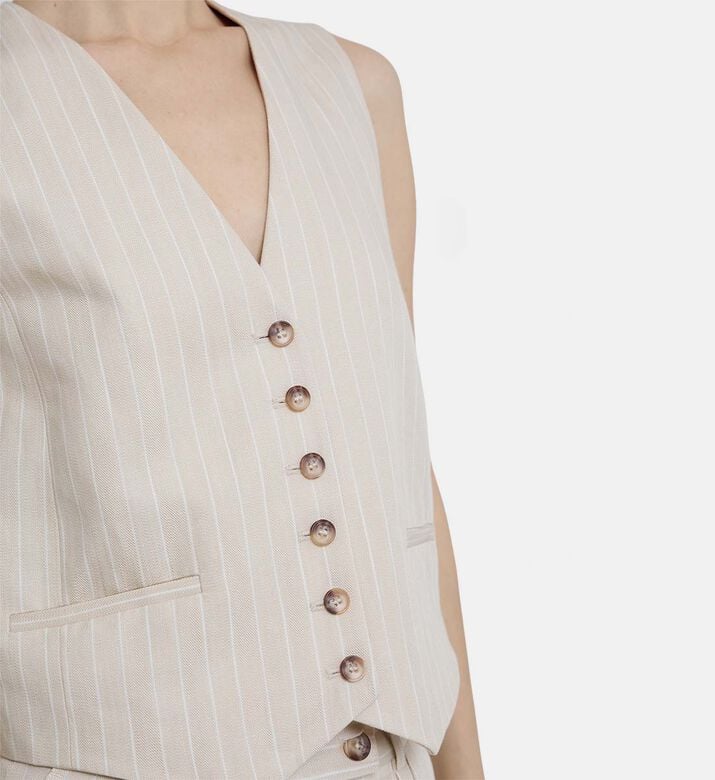 فيست باتسي مخطط فيست باتسي مخطط