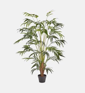 إناء نخيل أريكا بي في سي - 150 سم