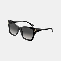 Oversized Frame Cat-eye Sunglasses