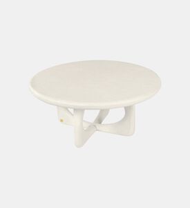 Neo Glass Fiber Coffee Table Neo Glass Fiber Coffee Table