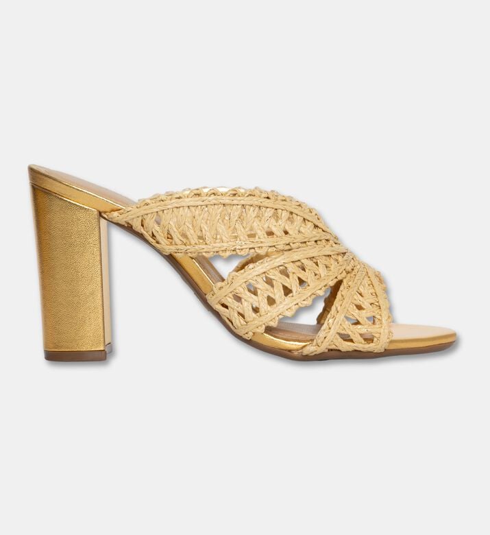 Arezzo Shoes Sabot, Packshot View
