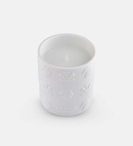 Creed Cndl Porcelain Birmanie Oud, Packshot View