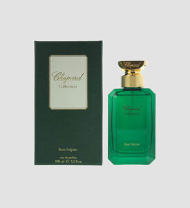 بخاخ الأفيون الأسود للشعر