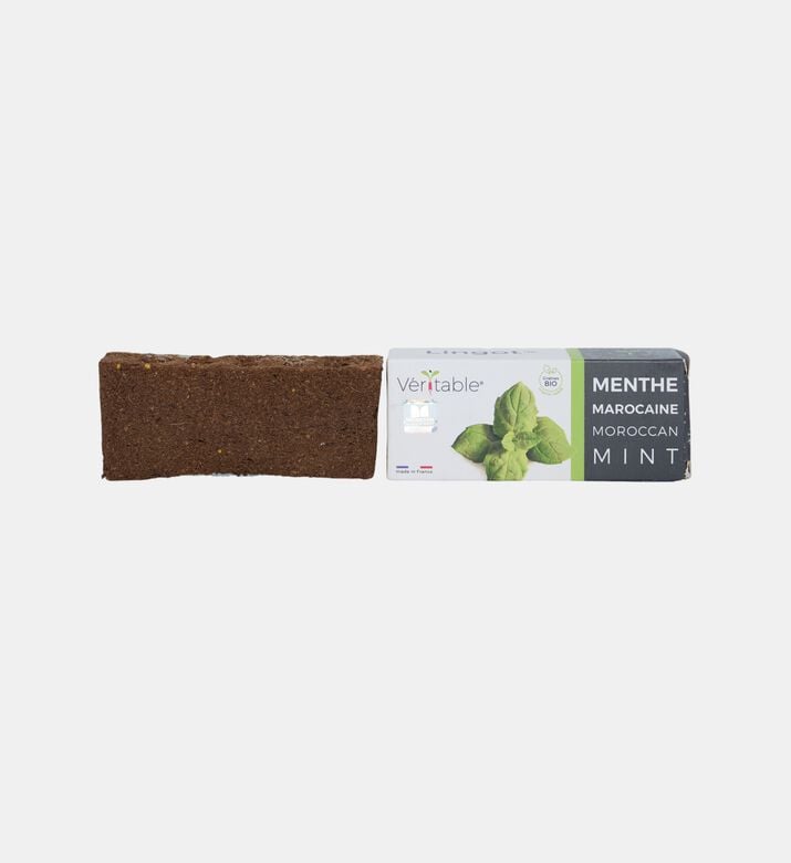 Organic Moroccan Mint Lingot