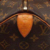 Louis Vuitton Monogram Canvas 30 Speedy Bag Preowned