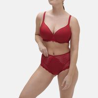 Caresse Embroidered Retro Brief